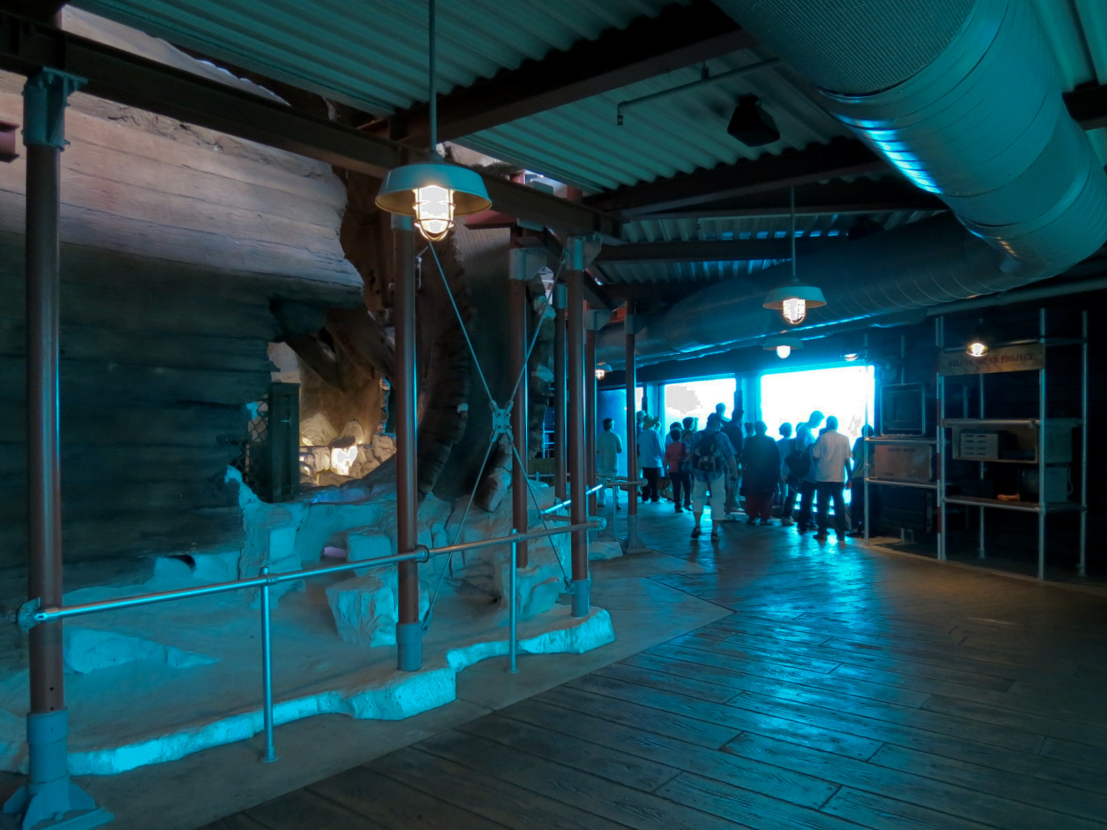 Wild Arctic - Beluga Whale Exhibit