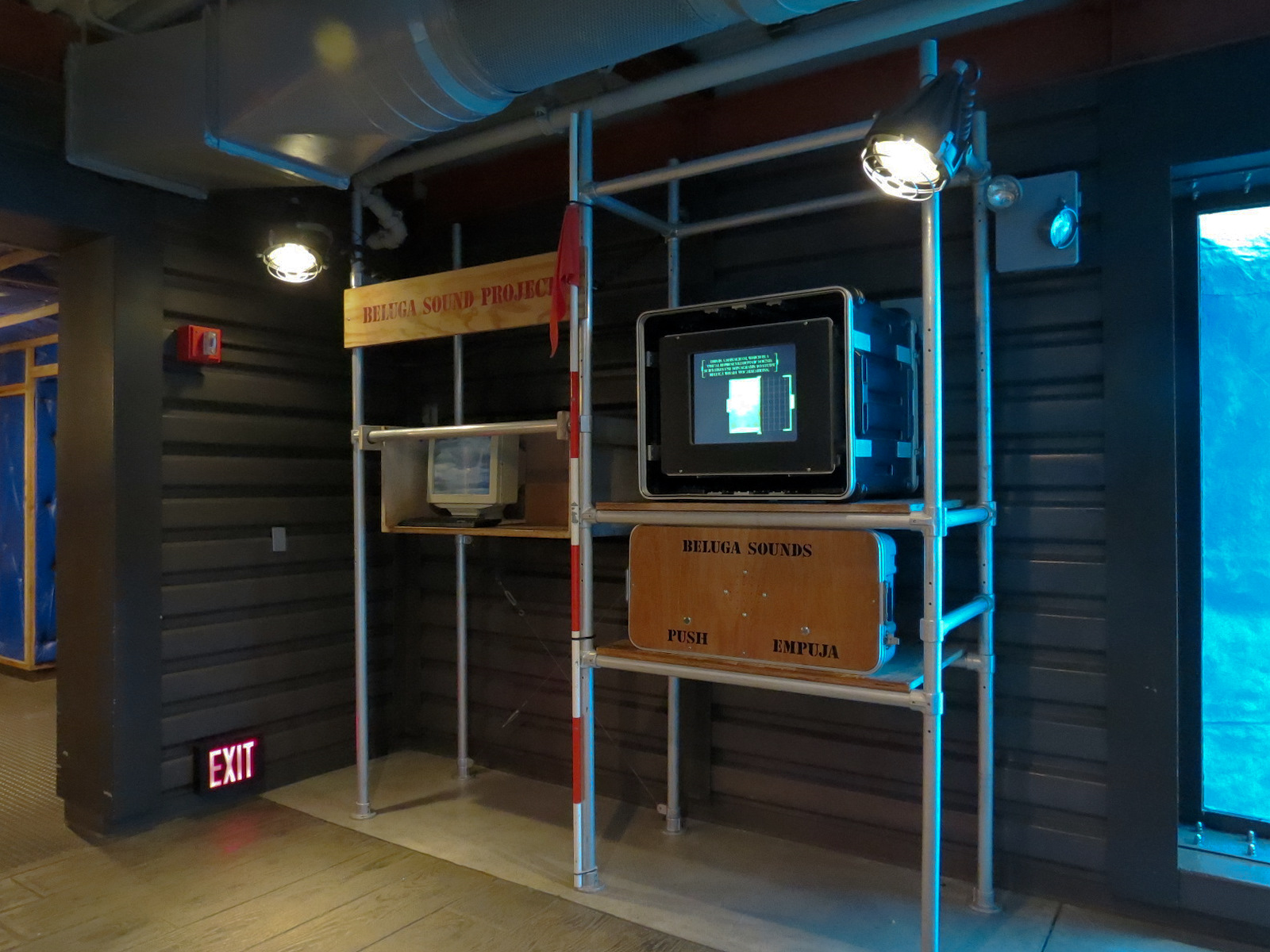 Wild Arctic - Beluga Whale Exhibit