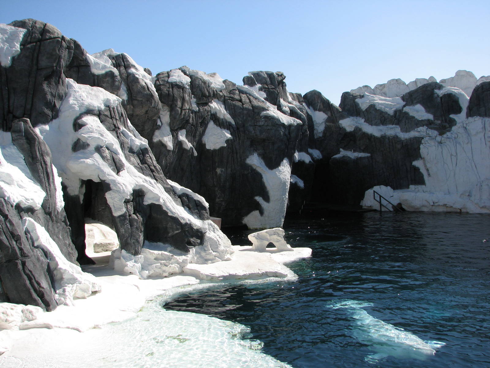 Wild Arctic - Beluga