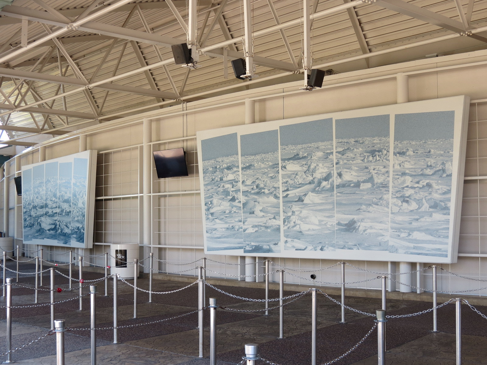 Wild Arctic - Exterior