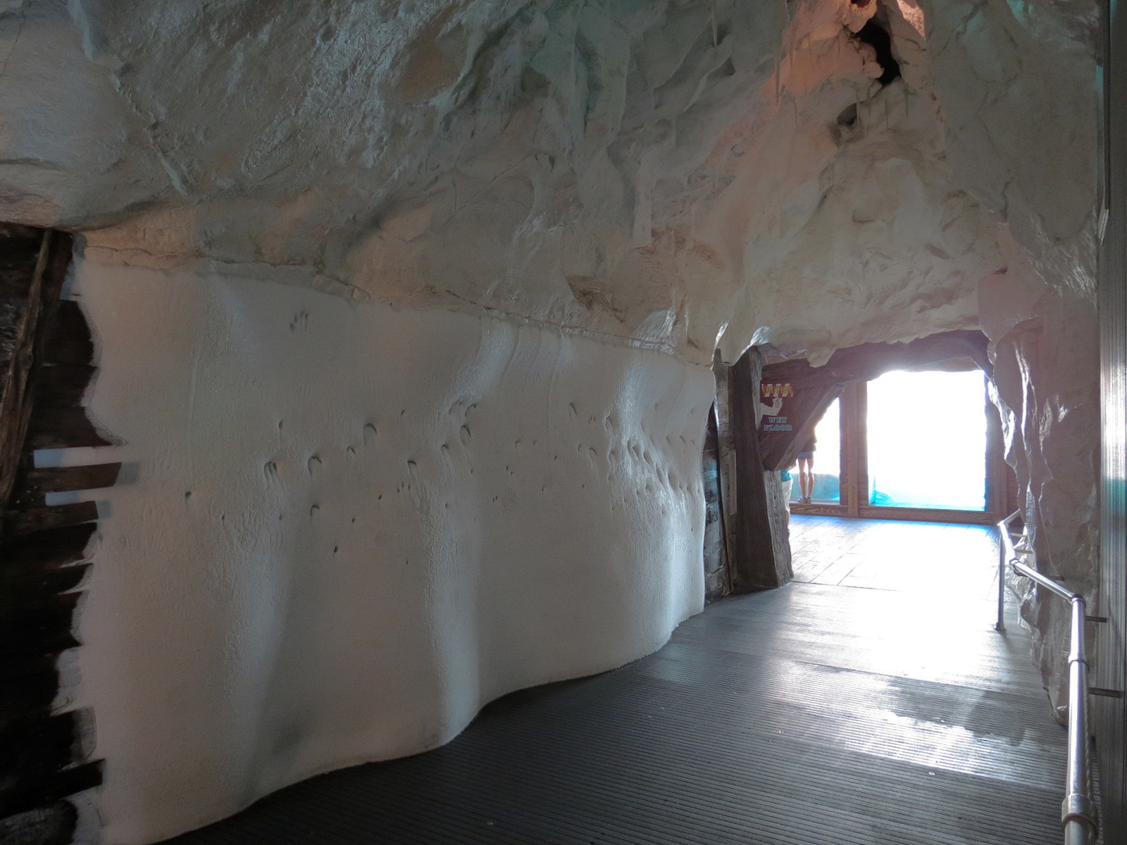 Wild Arctic - Ice Tunnel