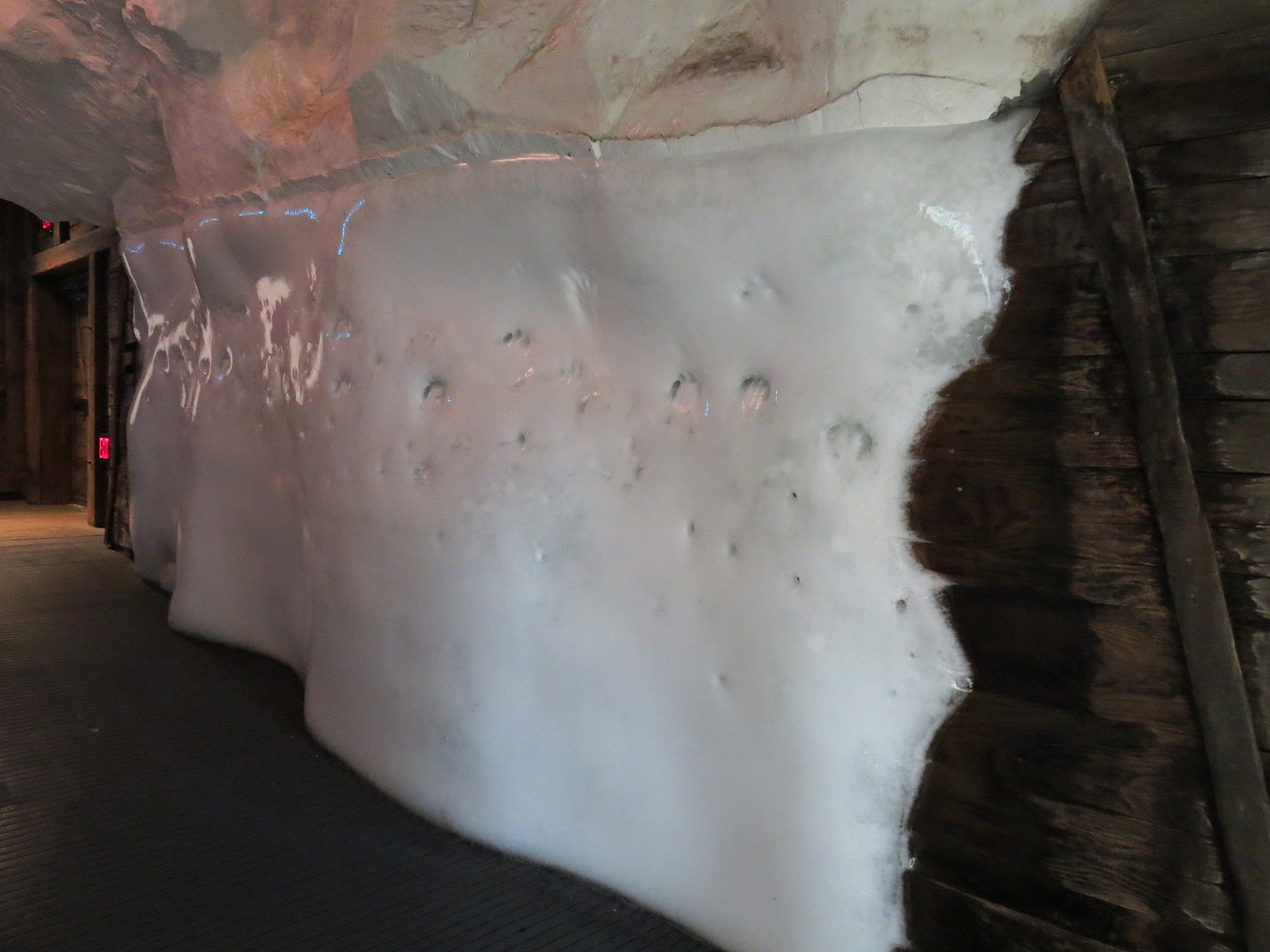 Wild Arctic - Ice Tunnel