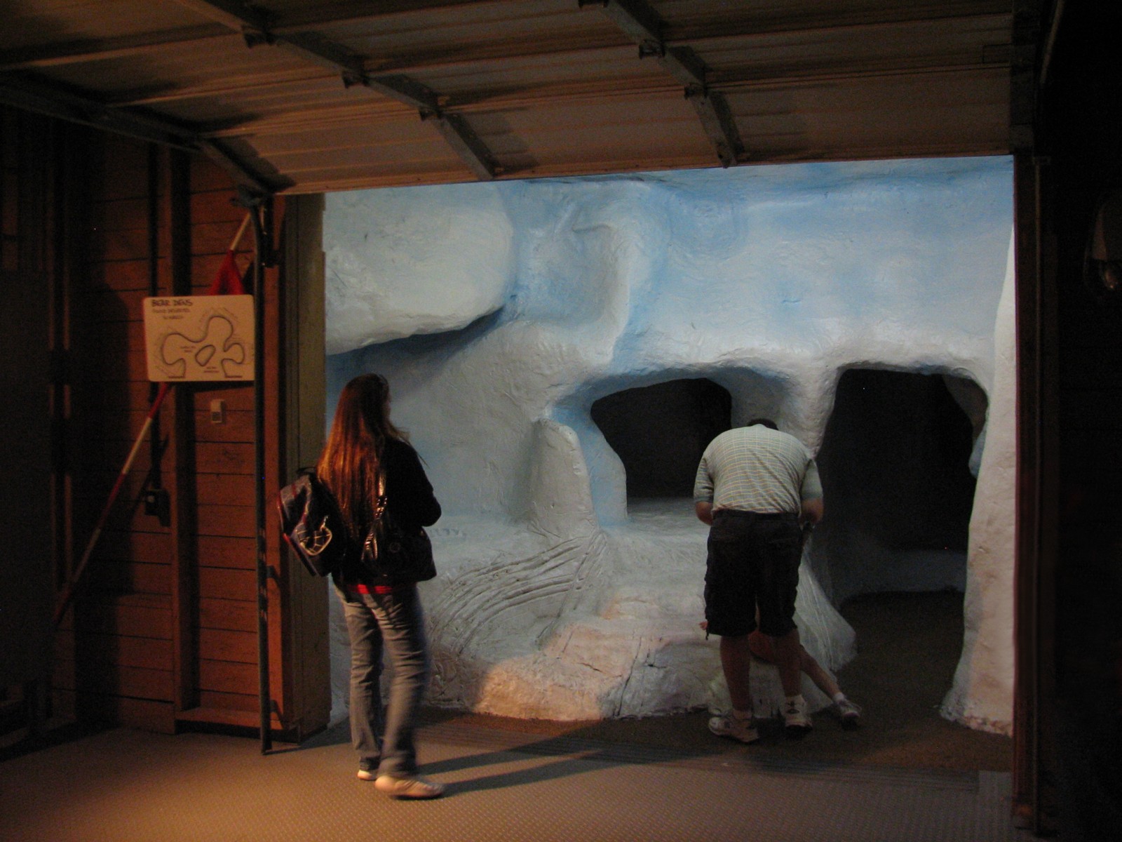 Wild Arctic - Polar Bear Den Play Area