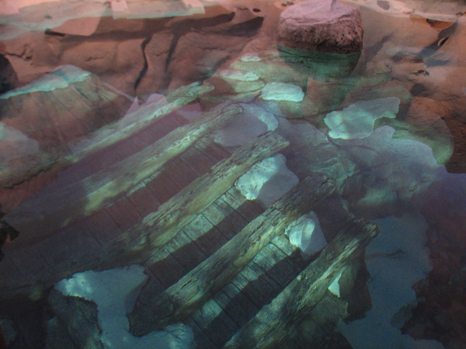 Wild Arctic - Polar Bear Exhibit Pool with Sunken Shipwreck