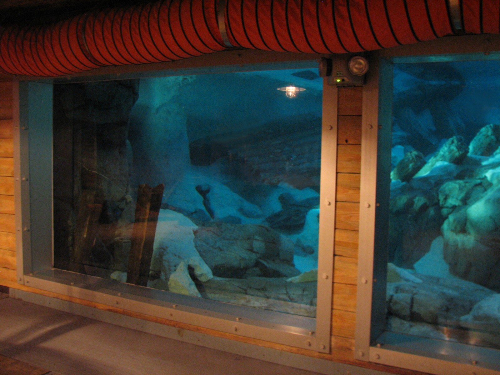 Wild Arctic - Polar Bear Exhibit Underwater Viewing Area
