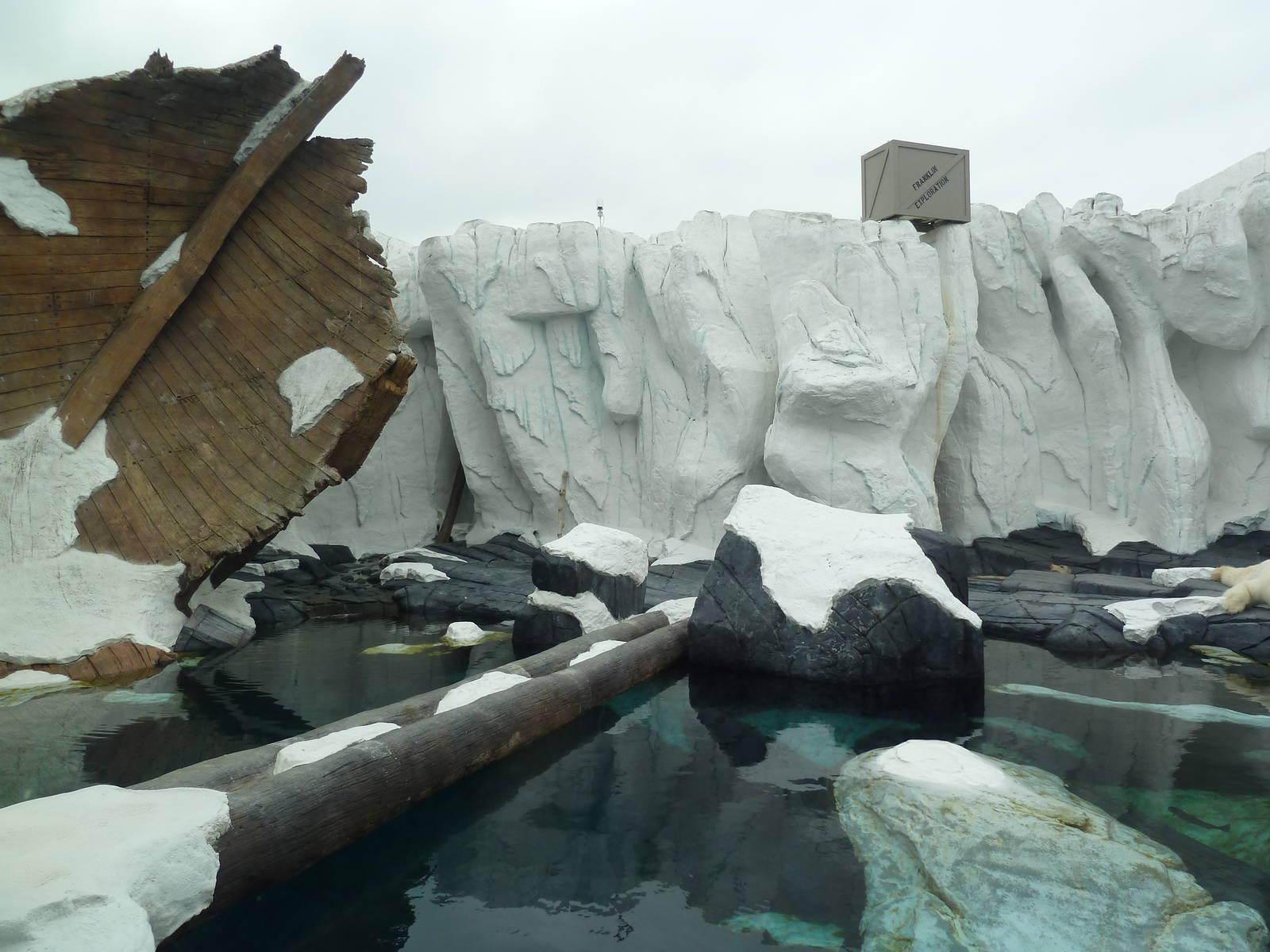 Wild Arctic - Polar Bear Exhibit