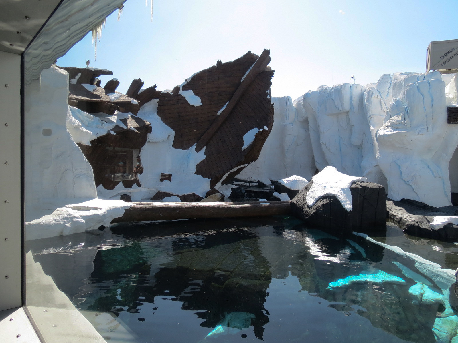 Wild Arctic - Polar Bear Exhibit