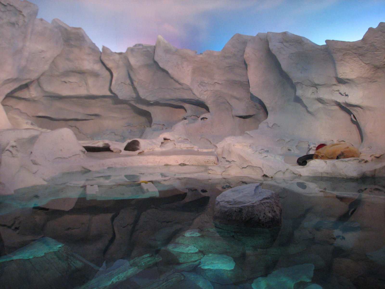 Wild Arctic - Polar Bear Exhibit