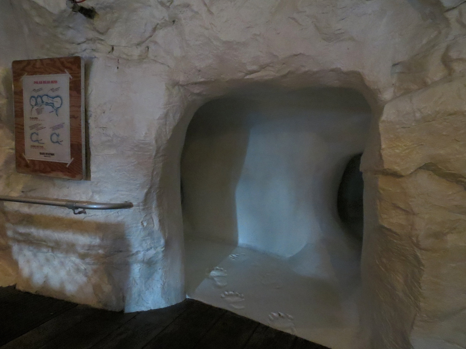 Wild Arctic - Simulated Ice Cave