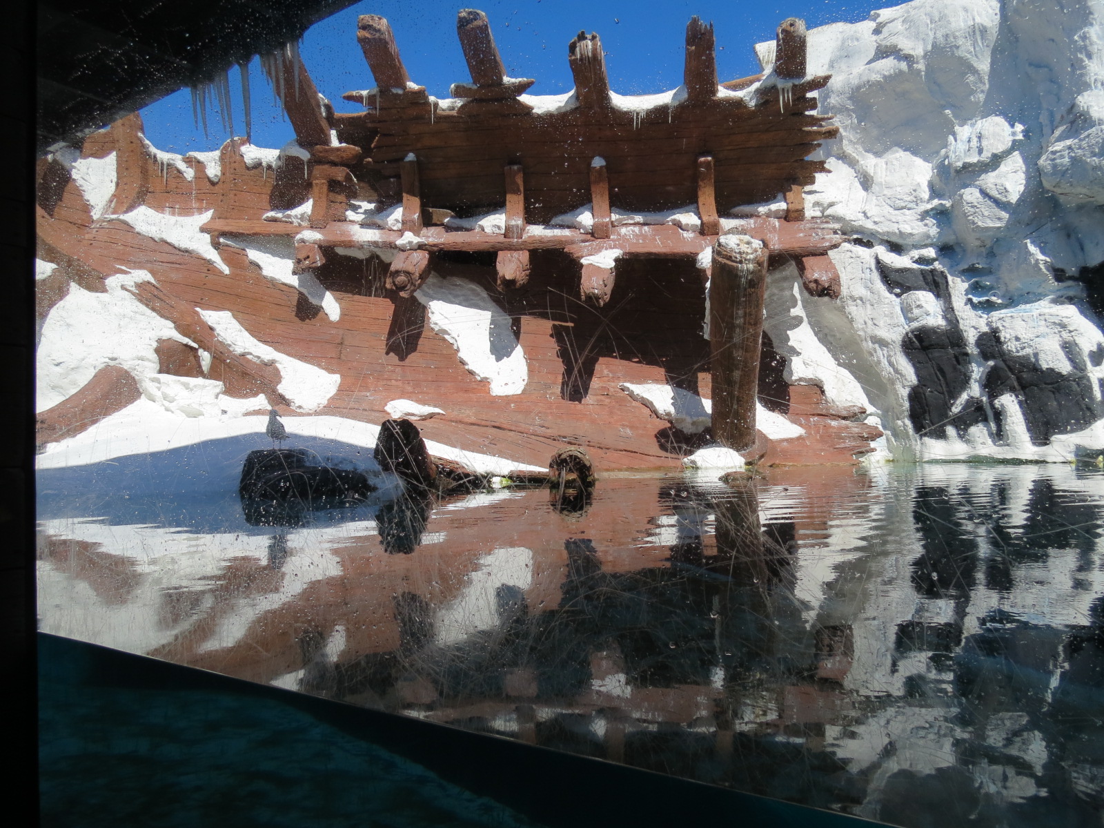 Wild Arctic - Walrus Exhibit