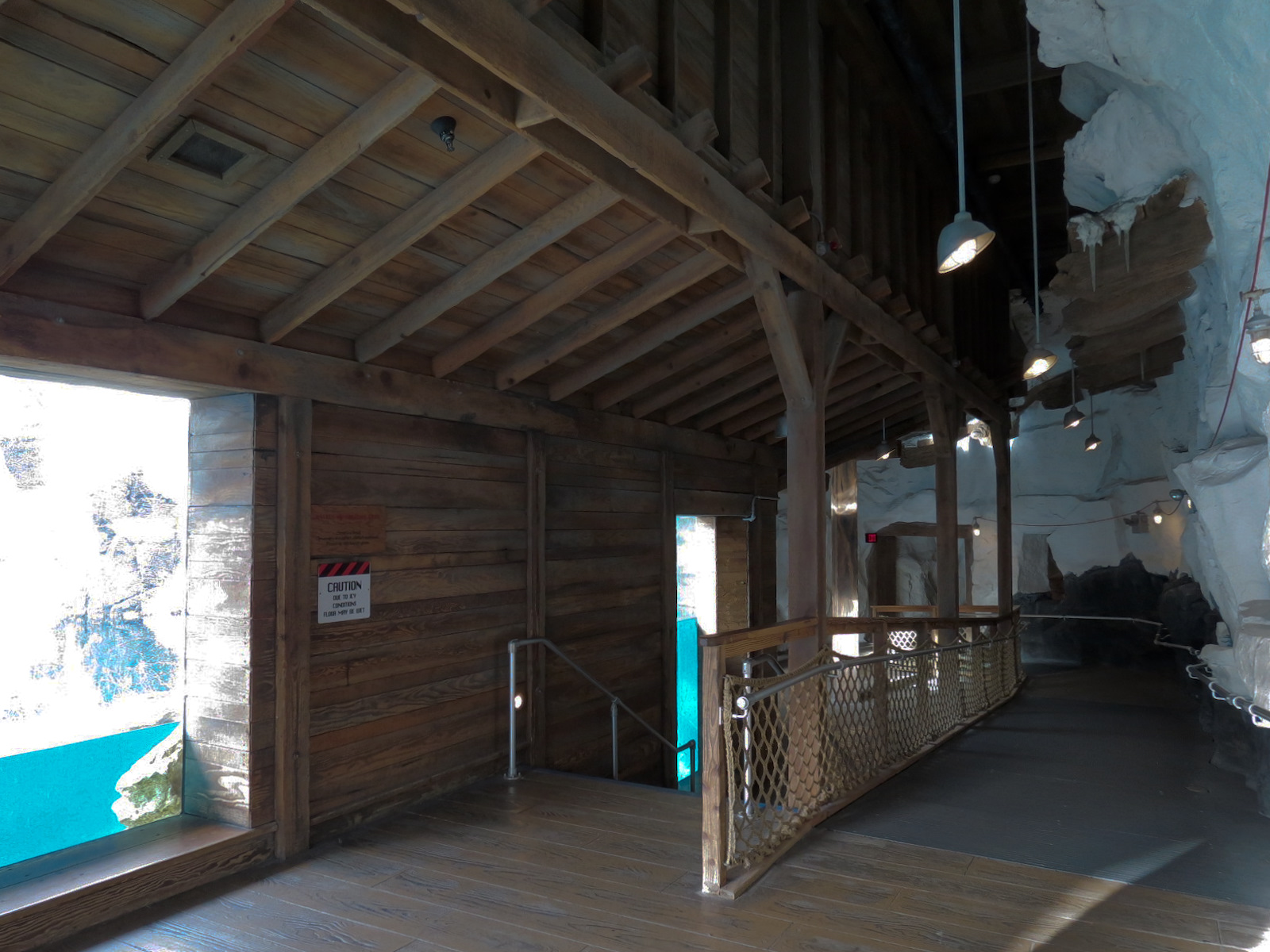 Wild Arctic - Walrus Exhibit