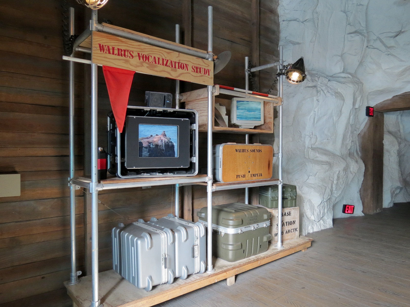 Wild Arctic - Walrus Exhibit