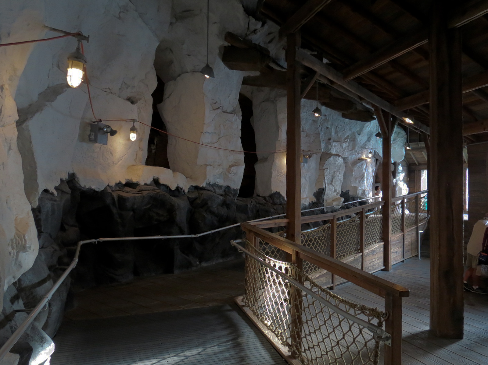 Wild Arctic - Walrus Exhibit