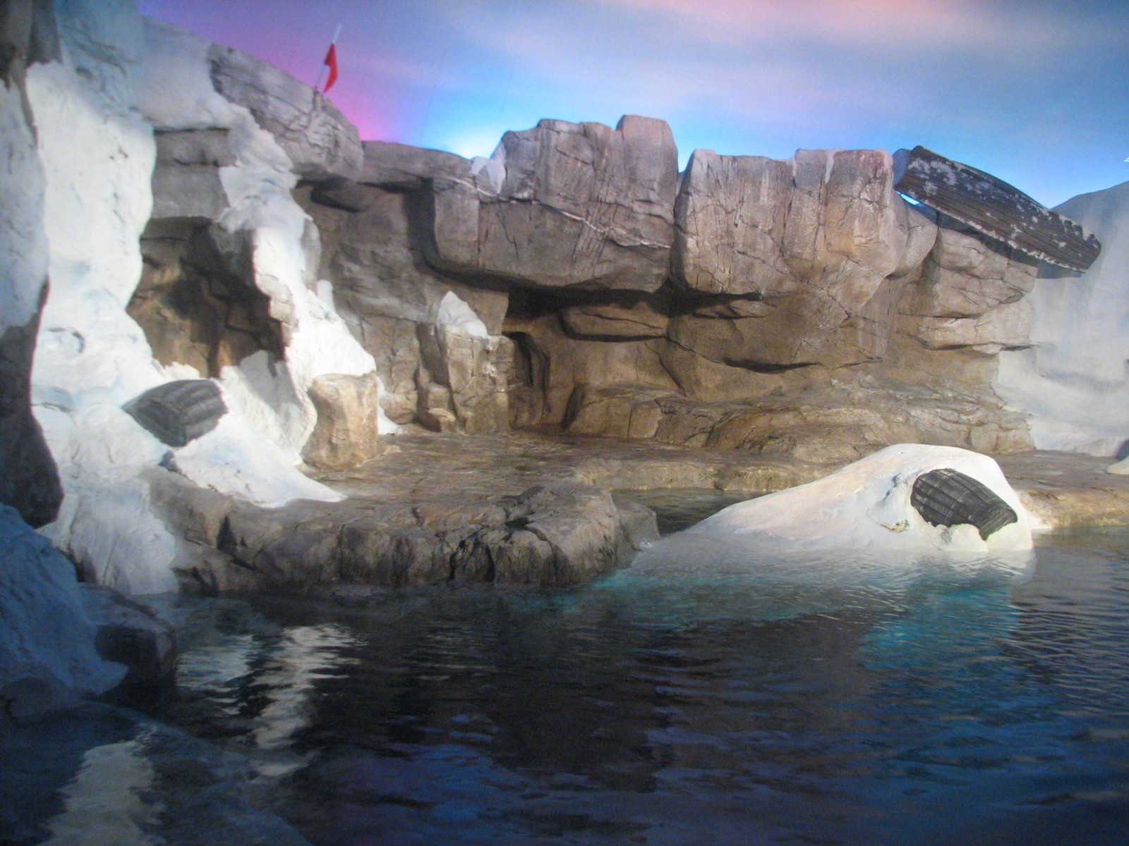Wild Arctic - Walrus Exhibit