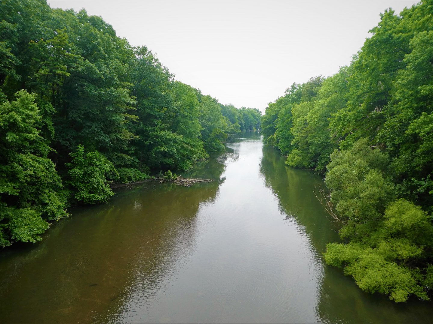 Wild Asia - Bengali Express Monorail - View of Bronx River