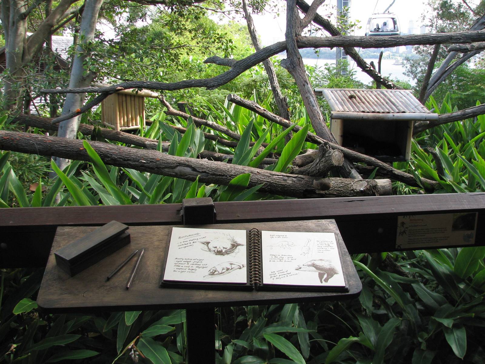Wild Asia Binturong Exhibit