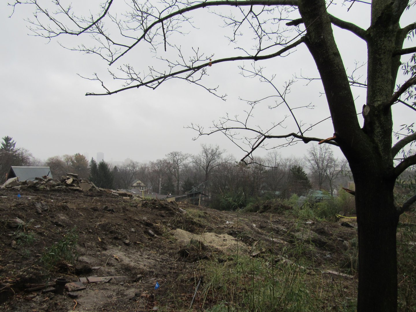 Wild Asia construction update