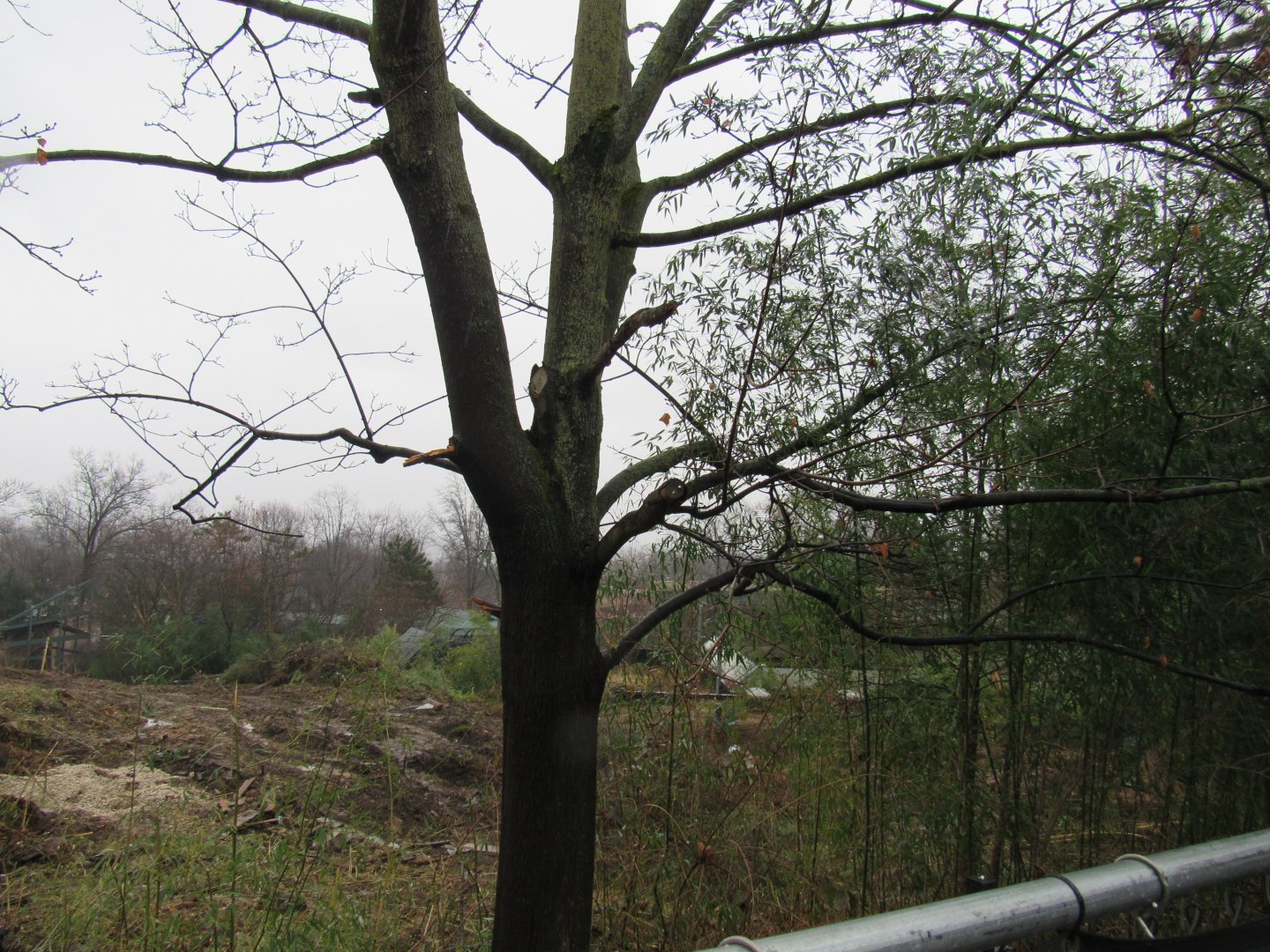 Wild Asia construction update