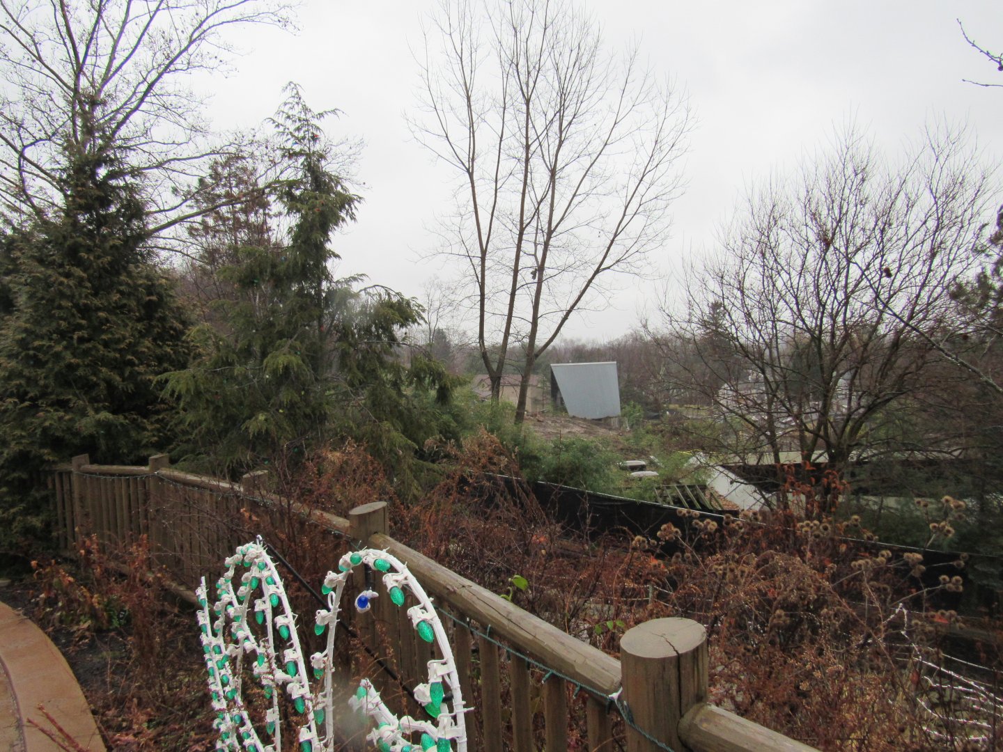 Wild Asia construction update