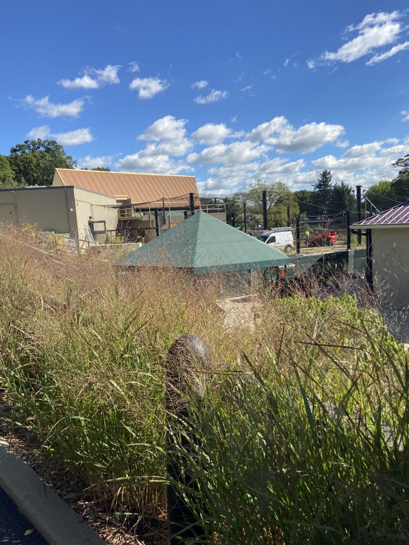 Wild Asia Construction Update