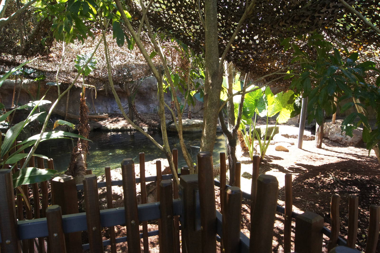 Wild Asia: First Malayan Tapir Exhibit