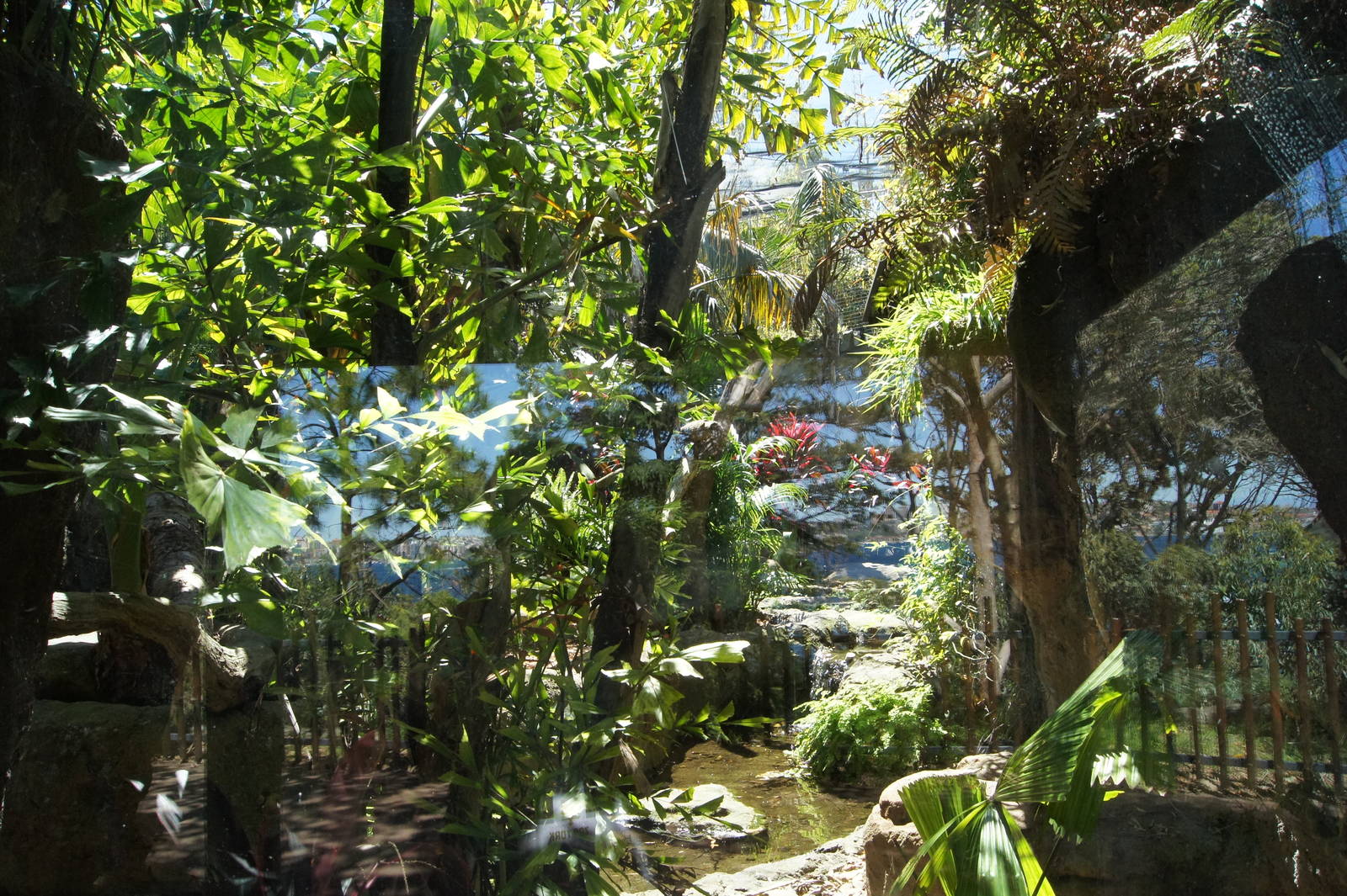 Wild Asia: Fishing Cat Exhibit