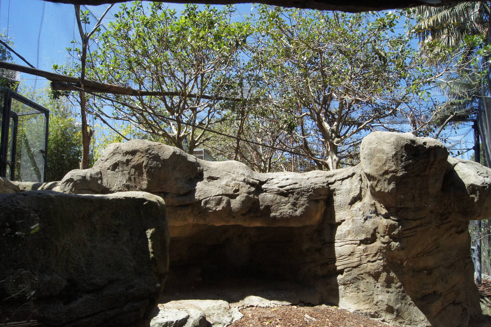 Wild Asia: Francois Langur Exhibit