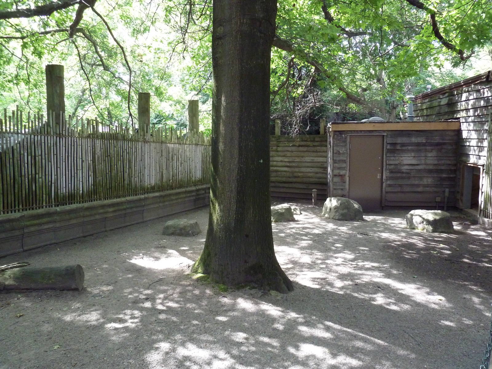 Wild Asia - Indian Muntjac Exhibit