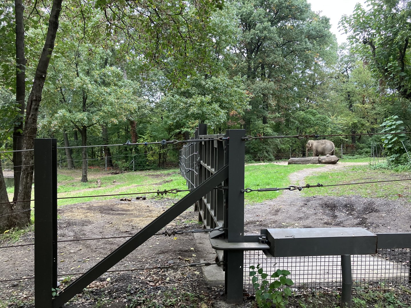 Wild Asia Monorail - Asian Elephant Exhibit