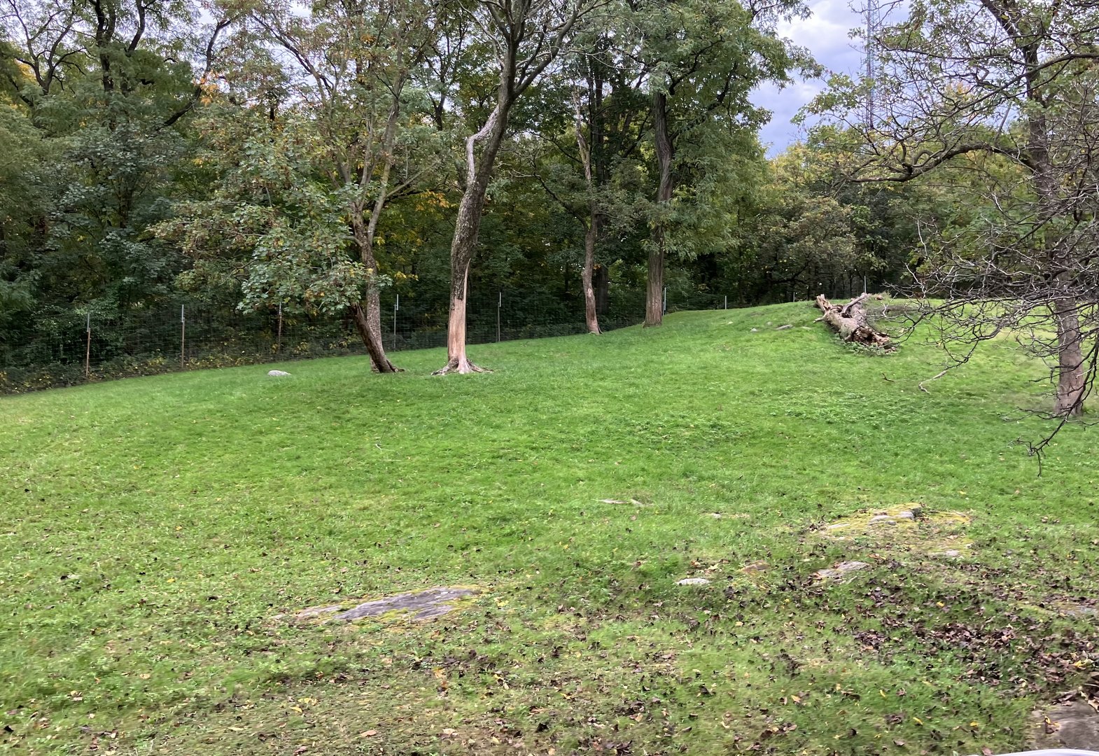 Wild Asia Monorail - Exhibit #1