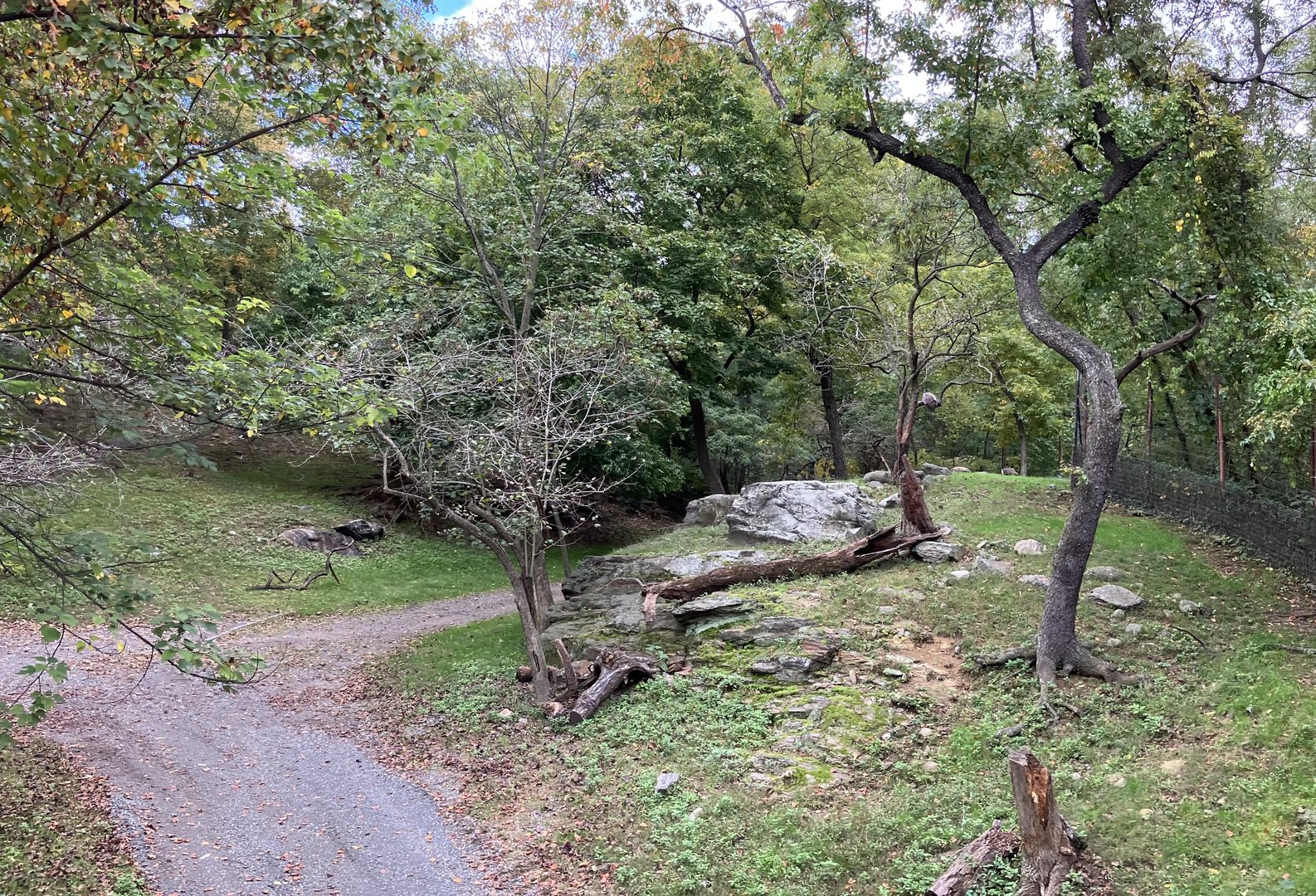 Wild Asia Monorail - Exhibit #1