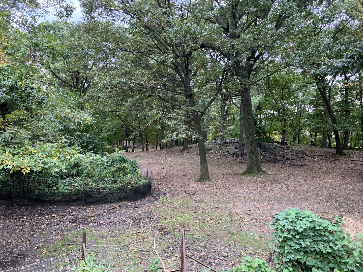 Wild Asia Monorail - Exhibit #8