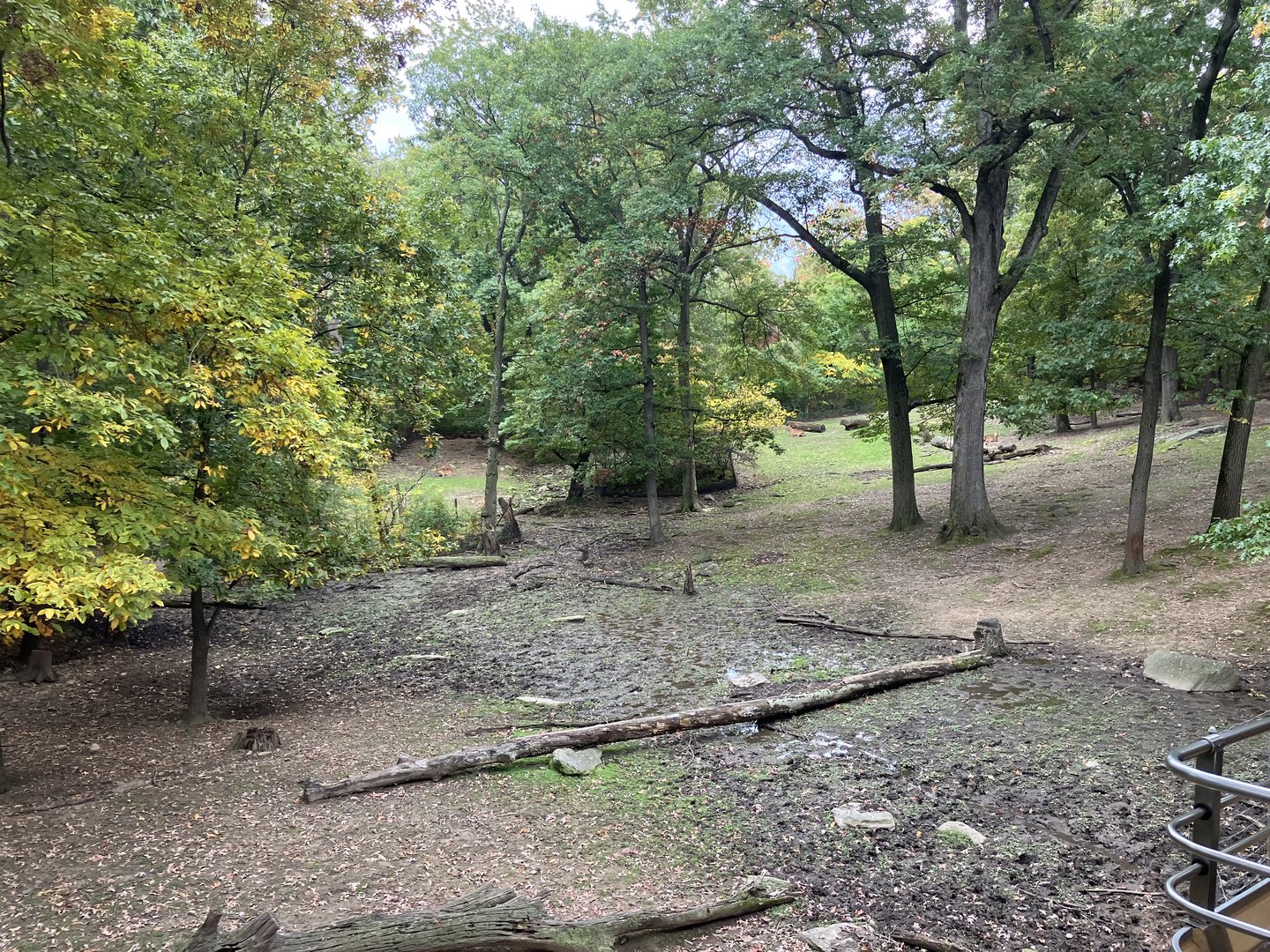 Wild Asia Monorail - Exhibit #8