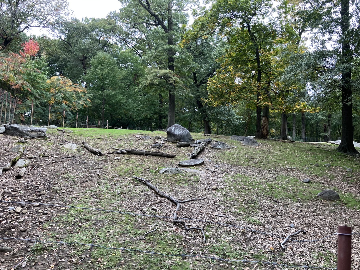 Wild Asia Monorail - Gaur/Eld’s Deer Exhibit