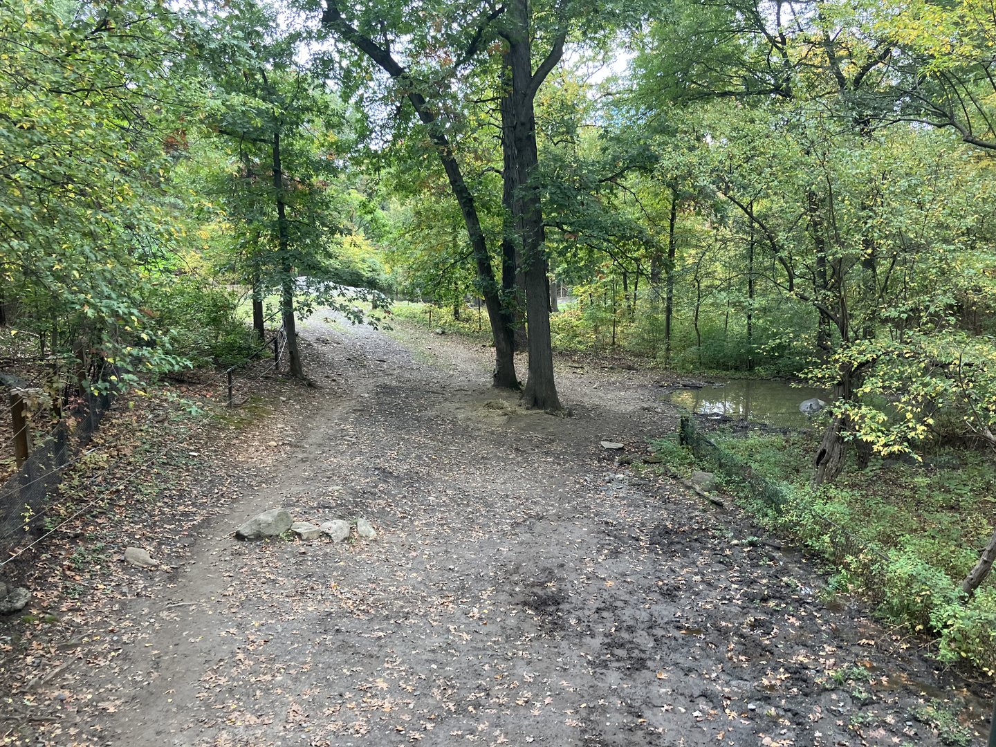 Wild Asia Monorail - Indian Rhinoceros Exhibit