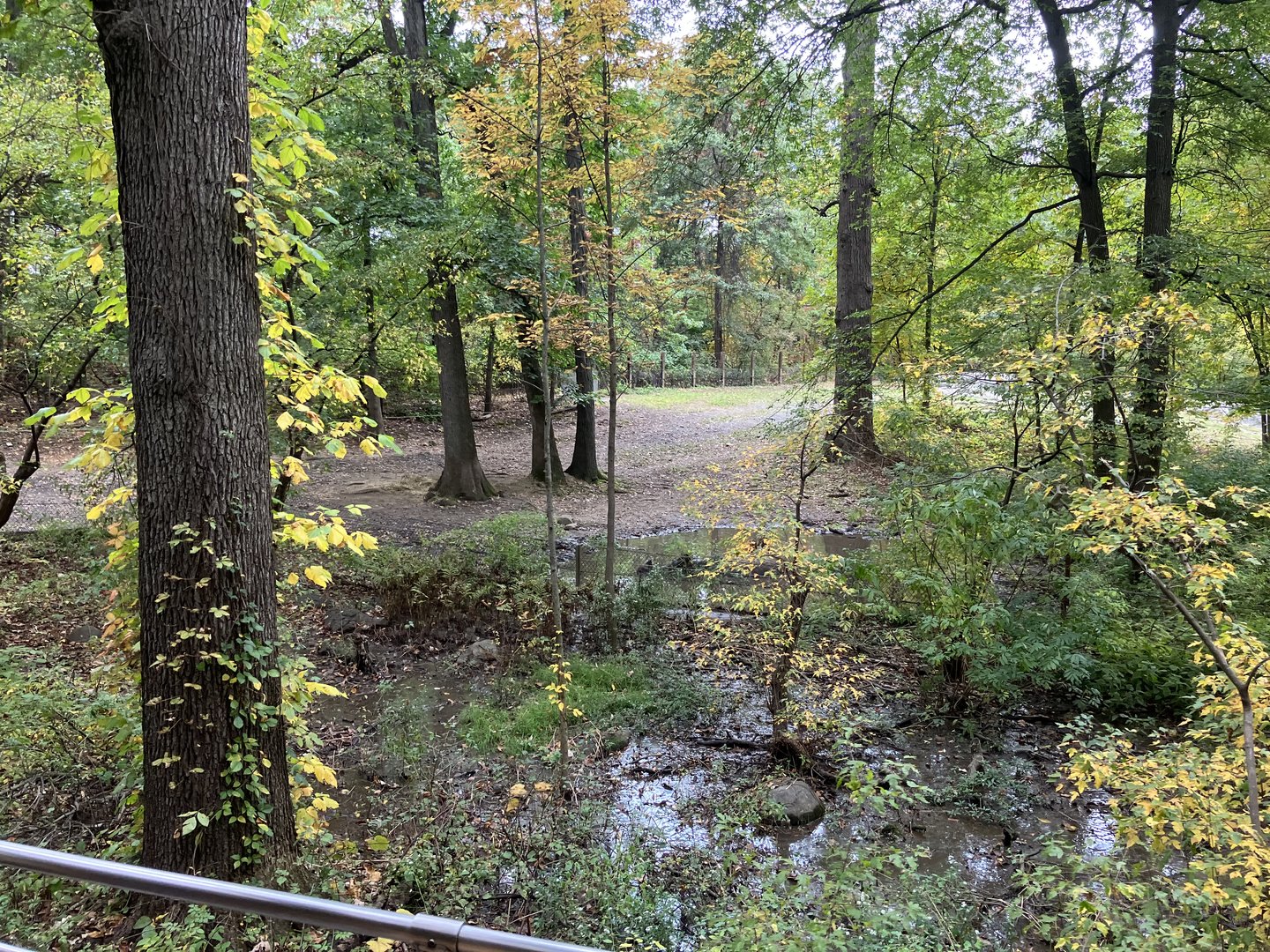 Wild Asia Monorail - Indian Rhinoceros Exhibit