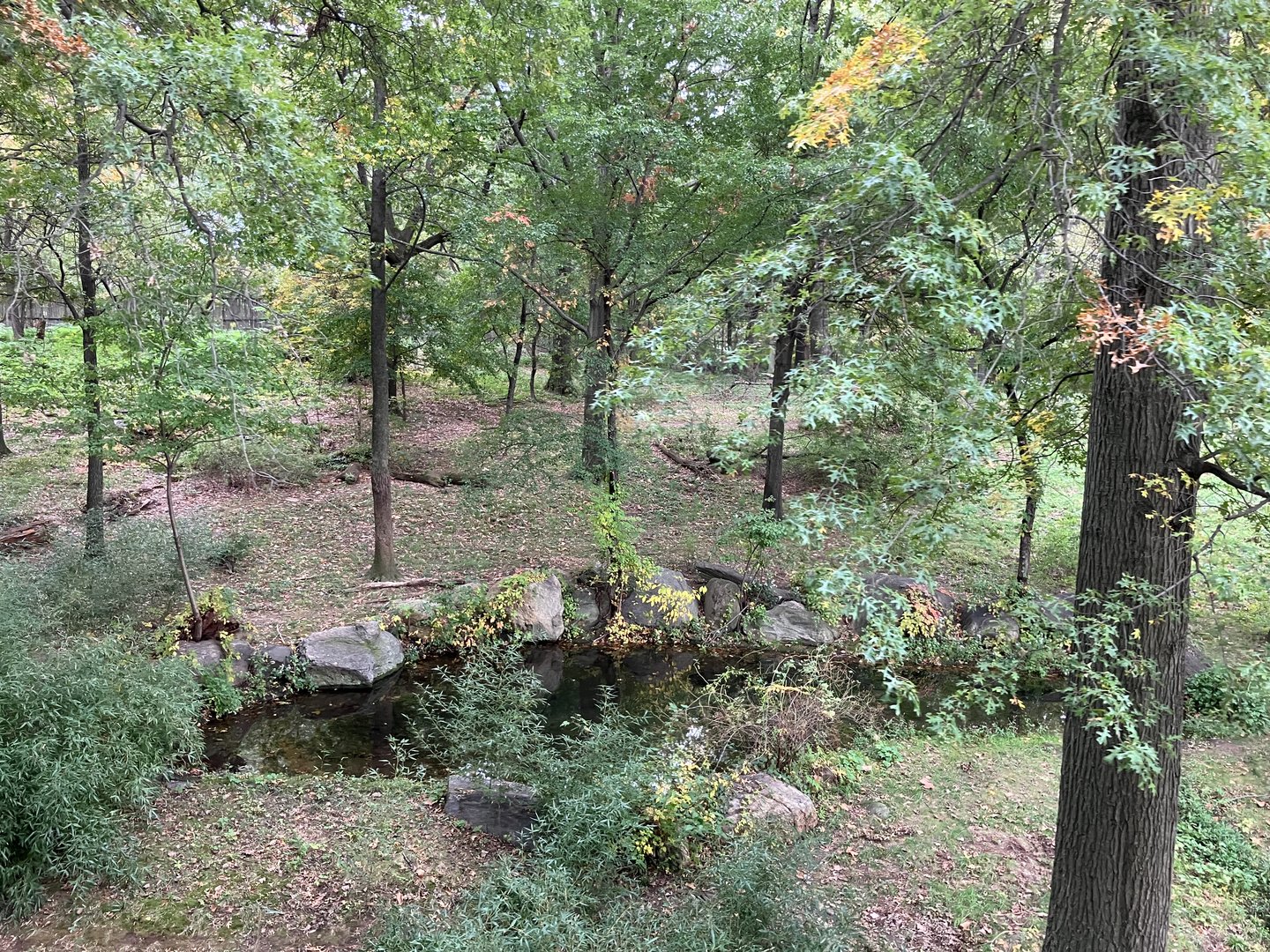 Wild Asia Monorail - Mainland Tiger Exhibit