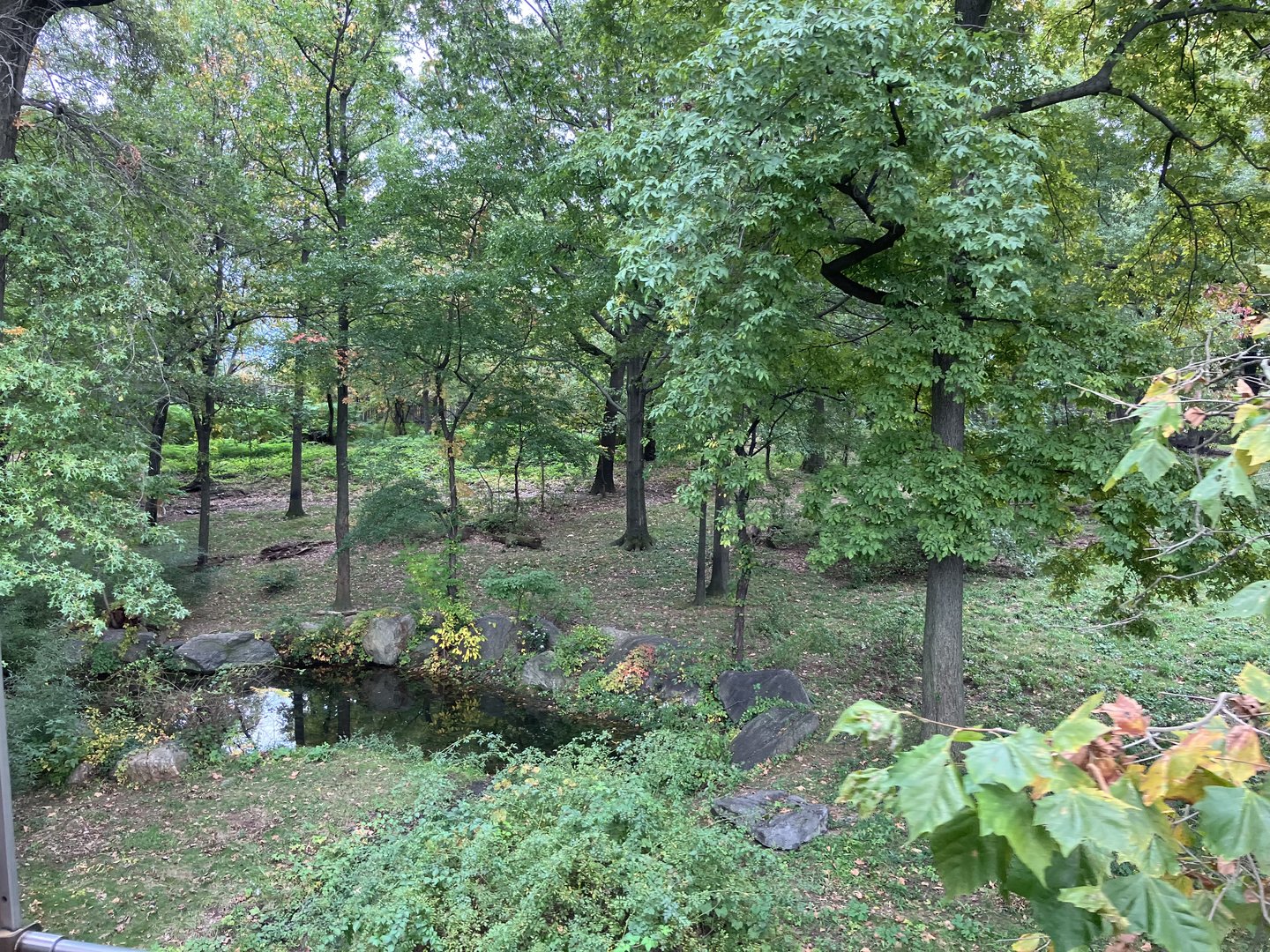 Wild Asia Monorail - Mainland Tiger Exhibit
