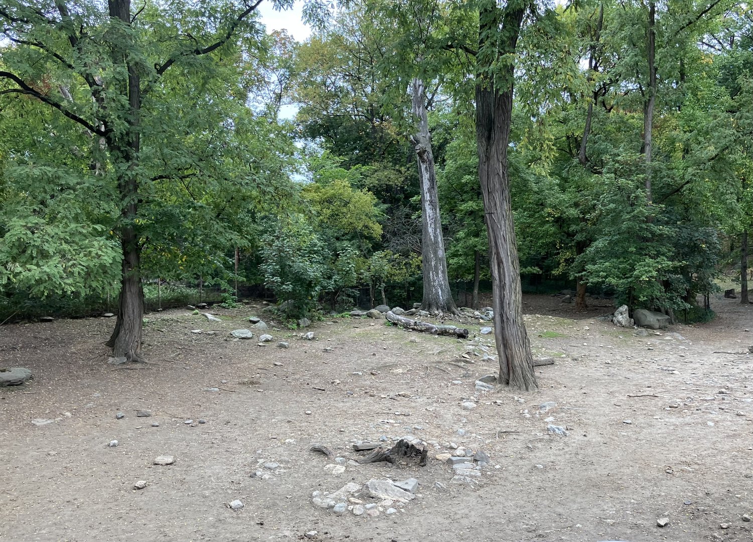 Wild Asia Monorail- Przewalski’s Horse Exhibit