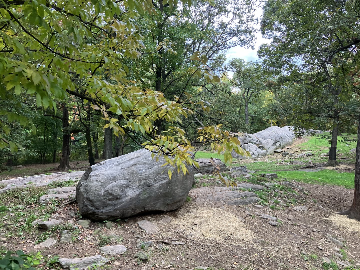 Wild Asia Monorail - Turkmenian Markhor/Himalayan Thar Exhibit