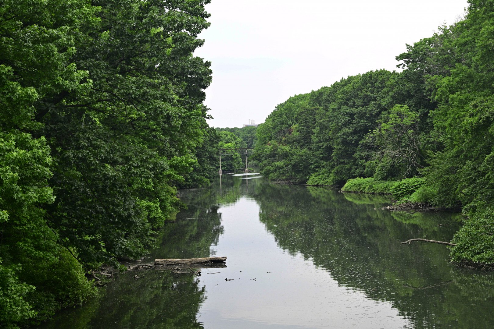 Wild Asia Monorail - View of the Bronx River