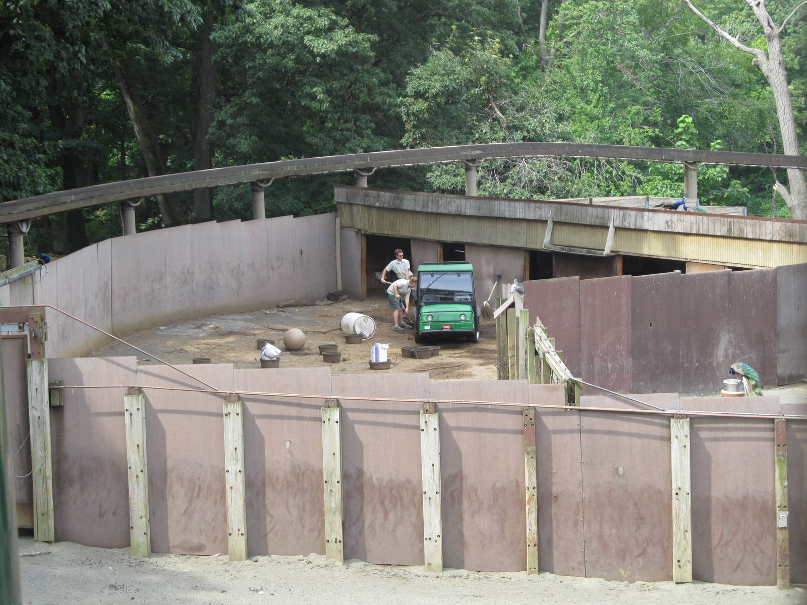 Wild asia off exhibit- deer