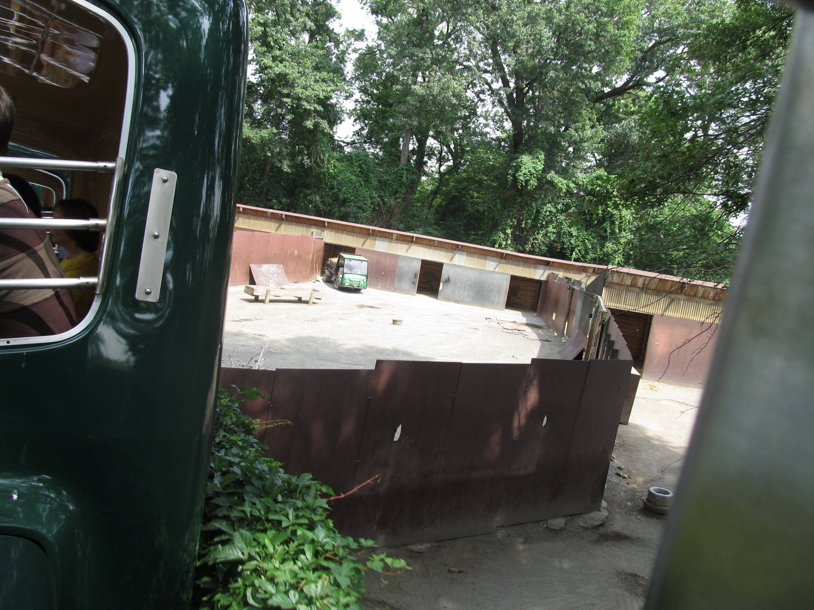 Wild asia off exhibit- deer