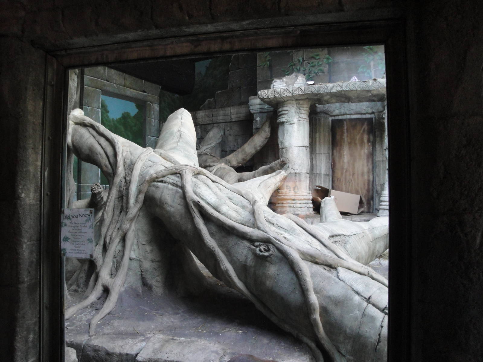 Wild Asia - Orangutan Exhibit