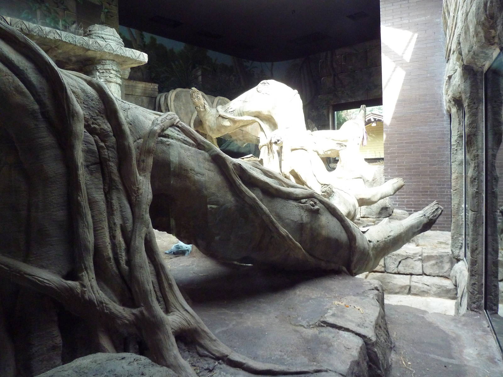 Wild Asia - Orangutan Indoor Exhibit