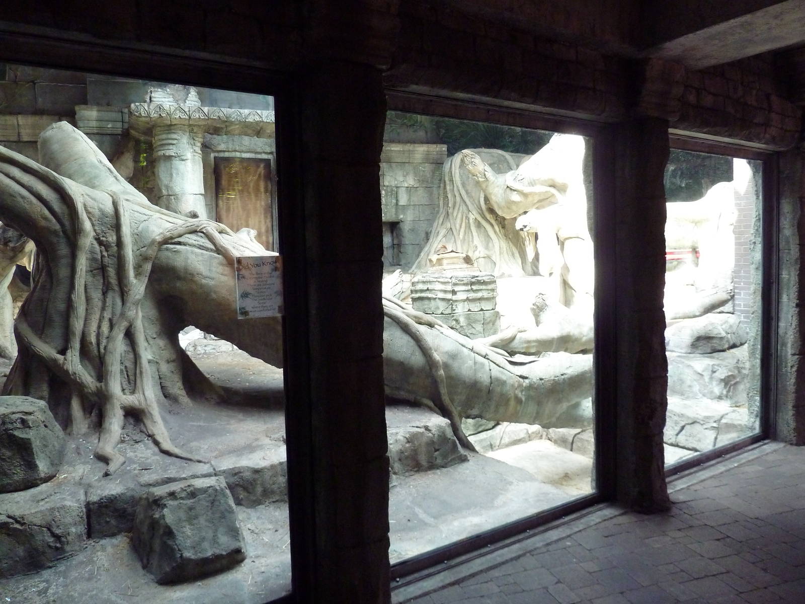 Wild Asia - Orangutan Indoor Exhibit