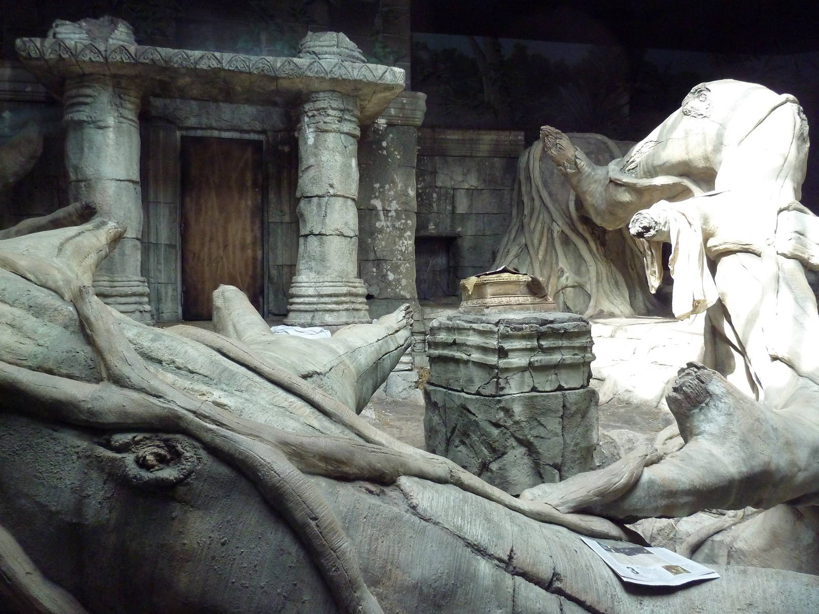 Wild Asia - Orangutan Indoor Exhibit