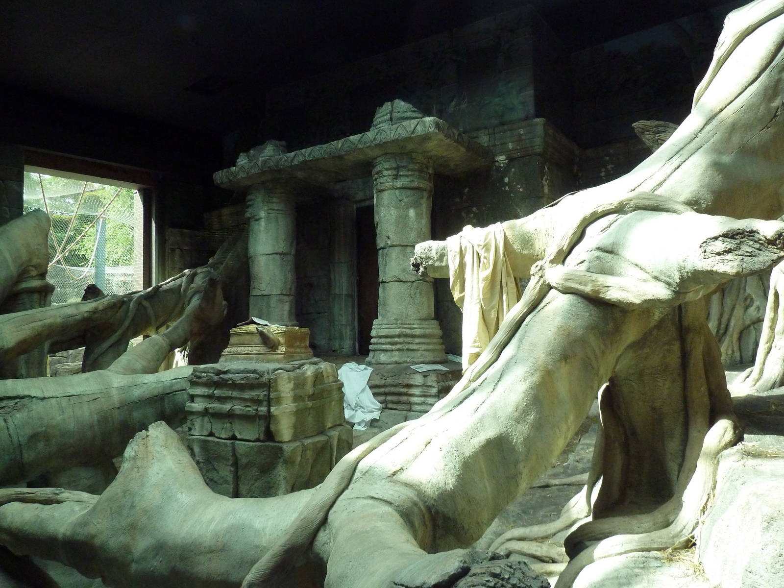 Wild Asia - Orangutan Indoor Exhibit