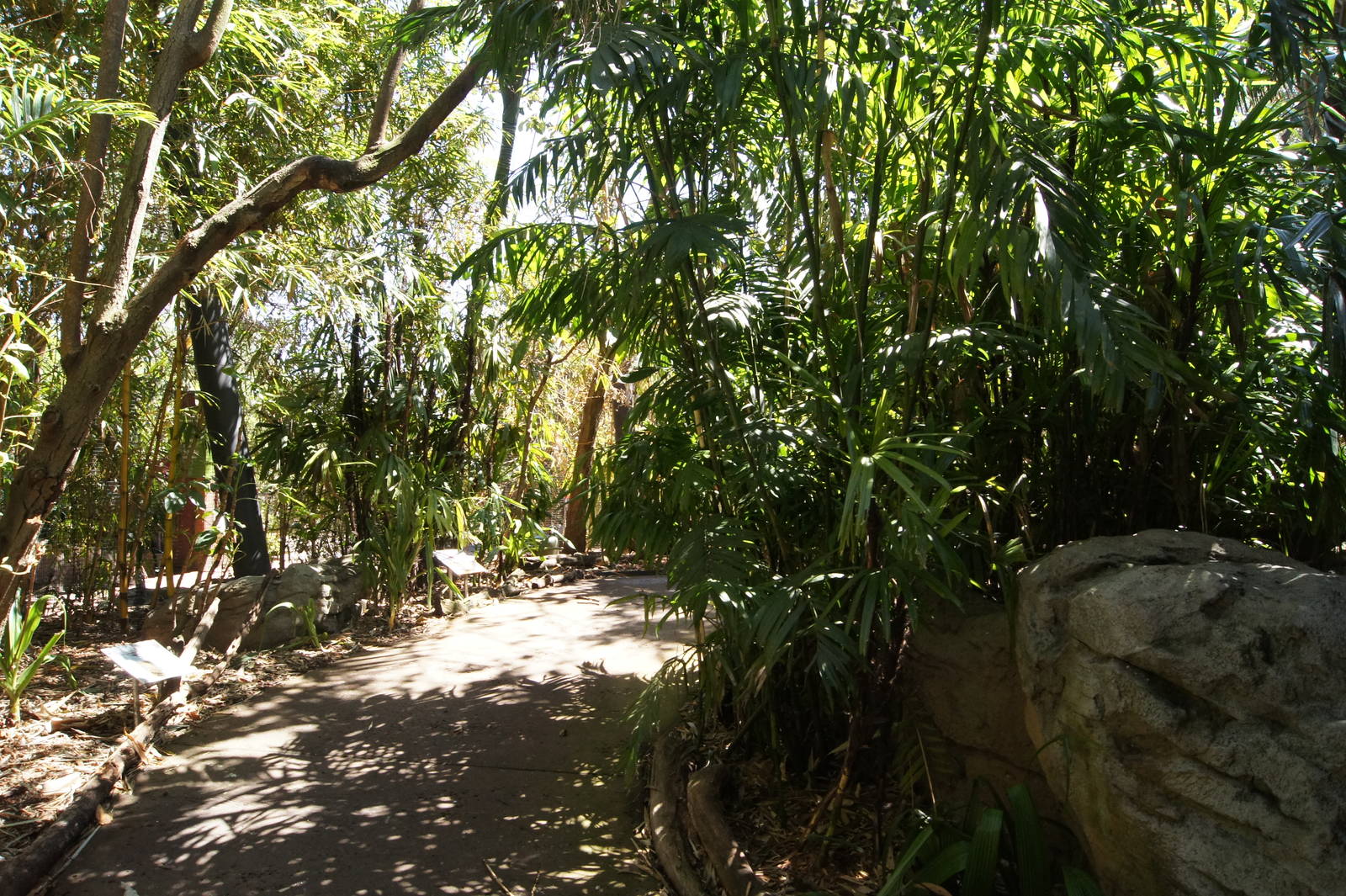 Wild Asia: Palm Aviary