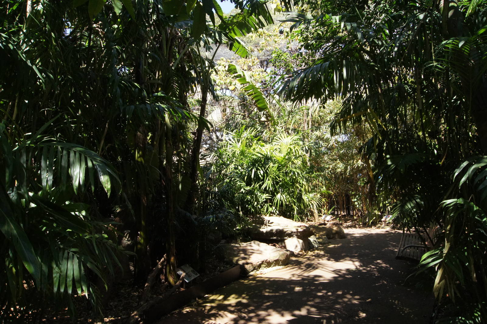Wild Asia: Palm Aviary